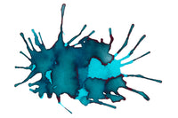 Monteverde X Goulet Aquatic Fountain Pen Ink Set