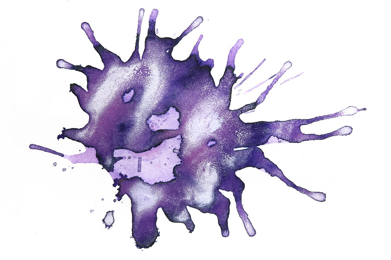 Monteverde X Goulet Aquatic Fountain Pen Ink Set