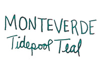 Monteverde Tidepool Teal - Ink Sample