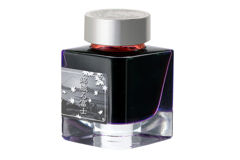 Platinum #3776 Century Fountain Pen - Kinu-Gumo (Limited Edition)
