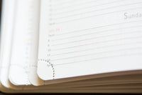 Rhodia 2026 Weekly Planner - Titanium