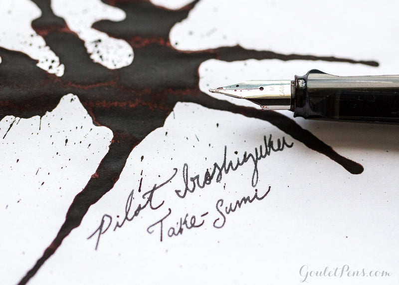 Pilot Iroshizuku Take-Sumi: Ink Review