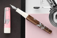 BENU Euphoria Fountain Pen - Neapolitan Ice Cream (Special Edition)