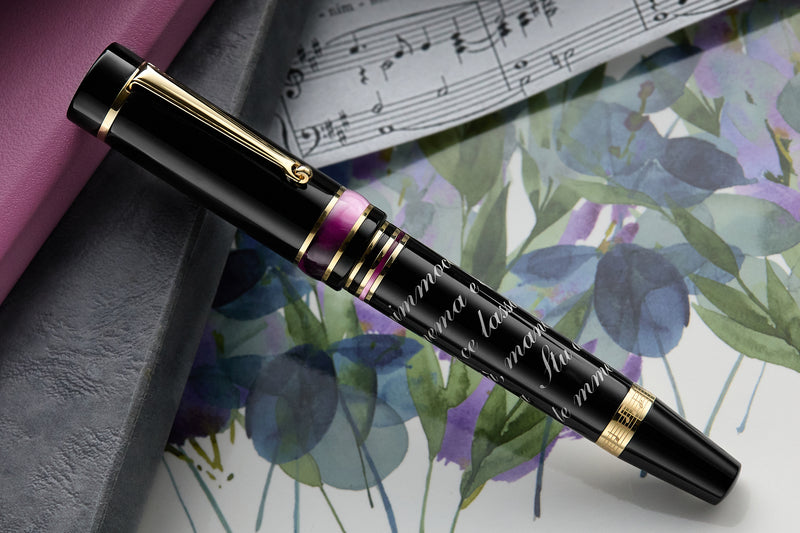 Delta Italian Songs Fountain Pen - Anema e Core (Special Edition)