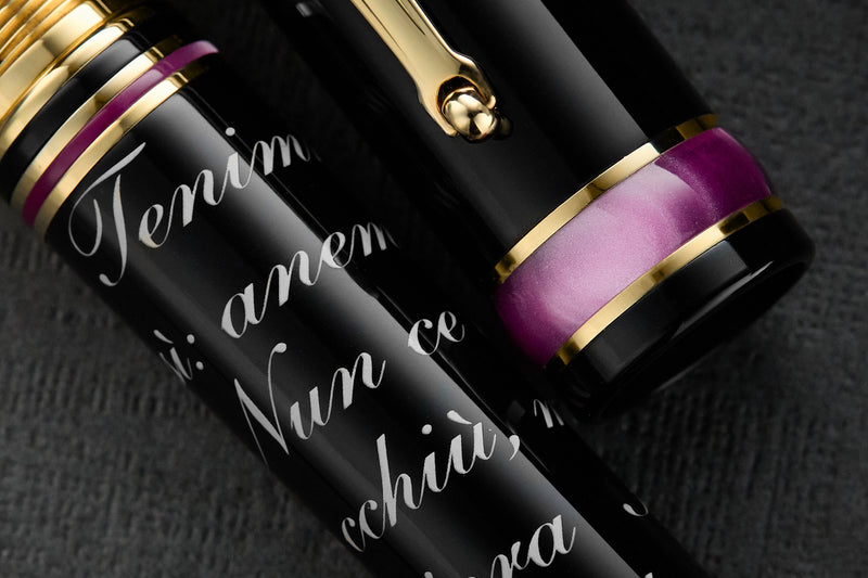 Delta Italian Songs Fountain Pen - Anema e Core (Special Edition)