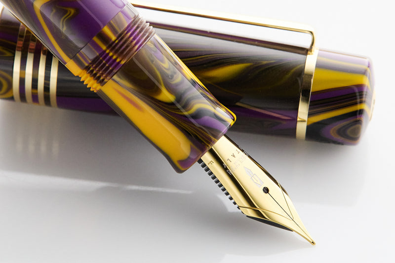 Delta Neo Gallery Fountain Pen - Iris