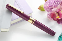 Esterbrook Model J Fountain Pen - Blackberry