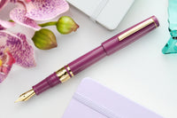 Esterbrook Model J Fountain Pen - Blackberry