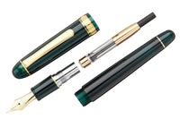 Platinum #3776 Century Fountain Pen - Laurel Green/Gold