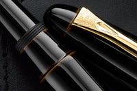 Platinum Izumo Fountain Pen - Biwatame