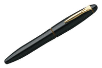 Platinum Izumo Fountain Pen - Biwatame