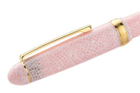 Platinum #3776 Celluloid Fountain Pen - Cherry Blossom