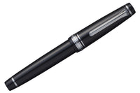 Sailor Pro Gear Fountain Pen - Ginza Silver (Limited Edition)