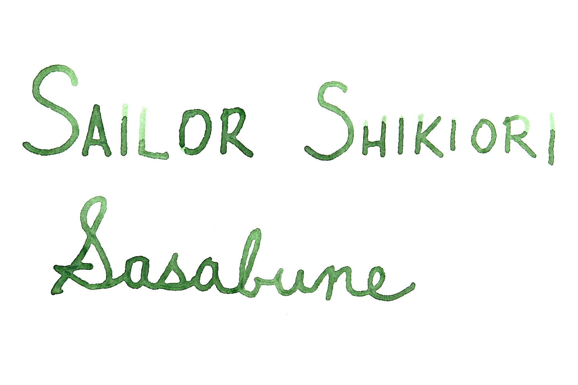 Sailor-Shikiori-Sasabune-inkDetail-1