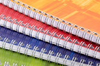 Clairefontaine Classic Wirebound A4 Notebook - Graph