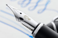 Goulet #6 Steel Flex Nib - Silver