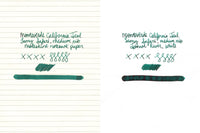 Monteverde California Teal - Ink Sample