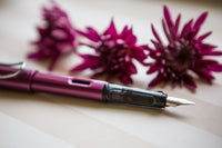 LAMY AL-star Fountain Pen - black purple