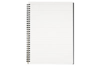 Maruman Mnemosyne N194 B5 Notebook - Lined