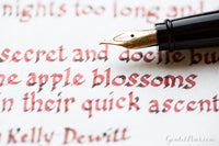 Robert Oster Astorquiza Rot - Ink Sample