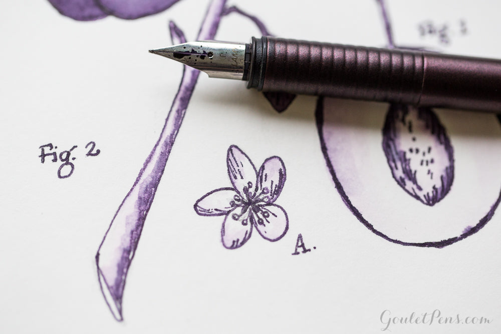 Diamine Damson fountain pen ink