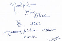 Noodler's Blue Black - Ink Sample