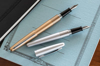 Pilot Metropolitan Fountain Pen - Silver Dots