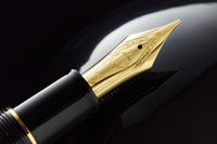 Sailor 1911 King of Pens Maki-e Fountain Pen - Sakura Nagare