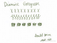 Diamine Evergreen - Ink Sample